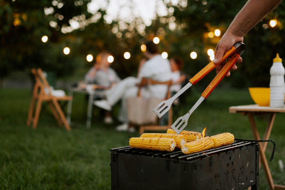 bbq backyard